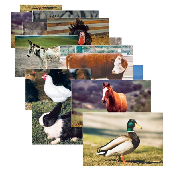 Stages Learning Materials Farm Animal Real Life Learning Poster Set, Set of 10 SLM-152